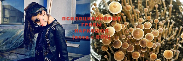 mix Осинники