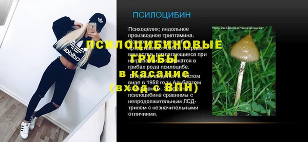 mix Осинники