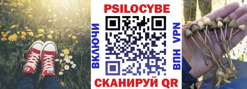 Псилоцибиновые грибы Cubensis  Хилок 